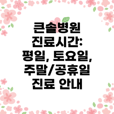 큰솔병원 진료시간: 평일, 토요일, 주말/공휴일 진료 안내