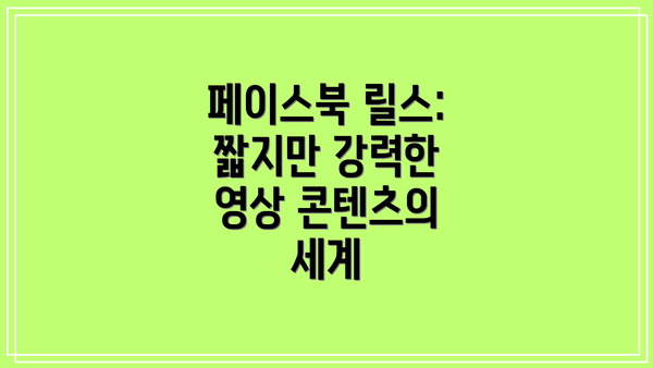 페이스북 릴스: 짧지만 강력한 영상 콘텐츠의 세계