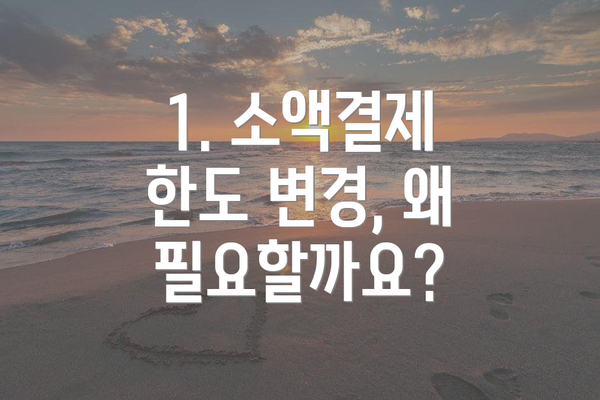 1. 소액결제 한도 변경, 왜 필요할까요?
