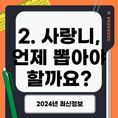 2. 사랑니, 언제 뽑아야 할까요?