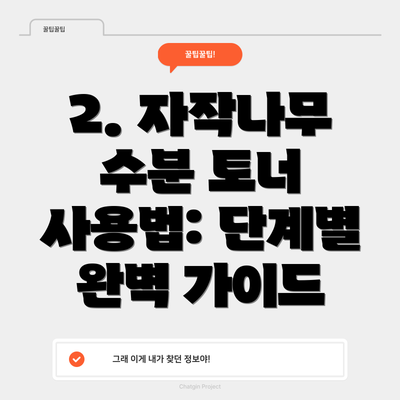 2. 자작나무 수분 토너 사용법: 단계별 완벽 가이드