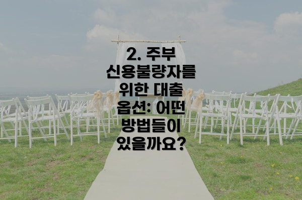 2. 주부 신용불량자를 위한 대출 옵션: 어떤 방법들이 있을까요?