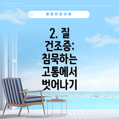2. 질 건조증: 침묵하는 고통에서 벗어나기