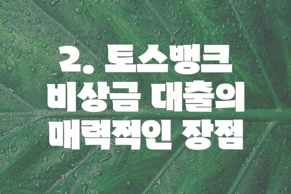 2. 토스뱅크 비상금 대출의 매력적인 장점