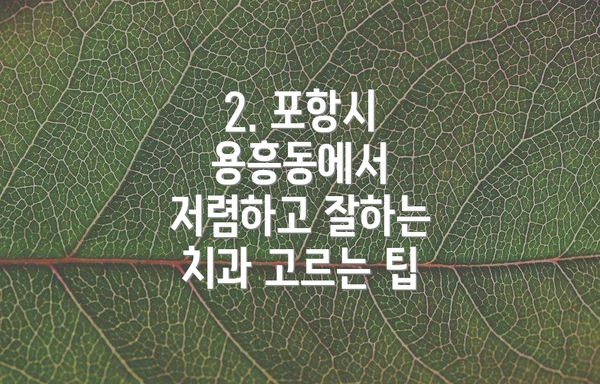 2. 포항시 용흥동에서 저렴하고 잘하는 치과 고르는 팁