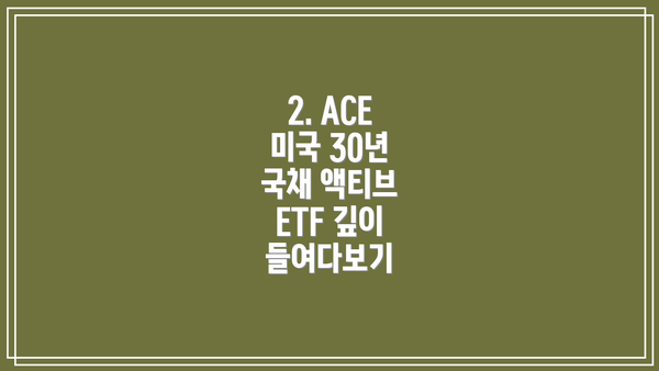 2. ACE 미국 30년 국채 액티브 ETF 깊이 들여다보기