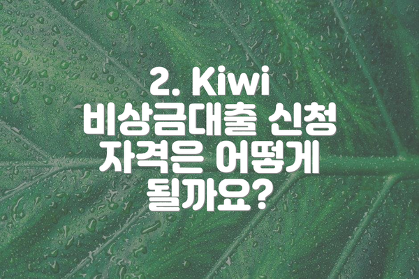 2. Kiwi 비상금대출 신청 자격은 어떻게 될까요?