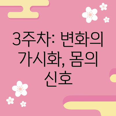 3주차: 변화의 가시화, 몸의 신호