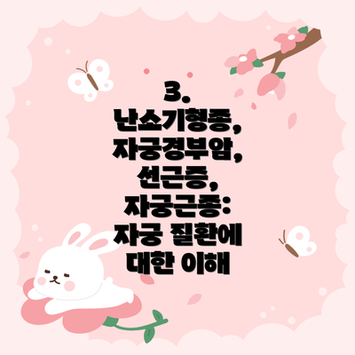 3.  난소기형종, 자궁경부암, 선근증, 자궁근종:  자궁 질환에 대한 이해