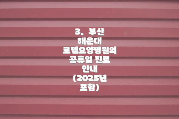 3. 부산 해운대 로뎀요양병원의 공휴일 진료 안내 (2025년 포함)