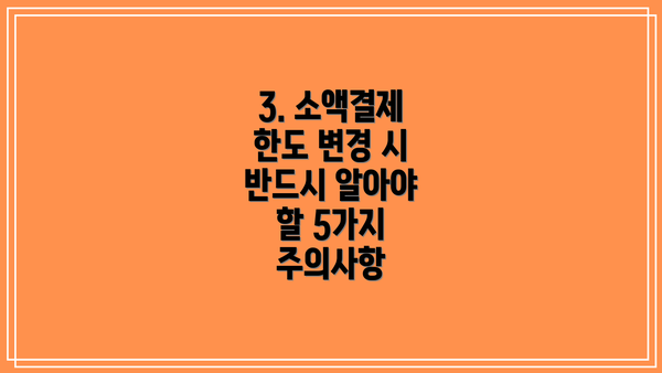 3. 소액결제 한도 변경 시 반드시 알아야 할 5가지 주의사항