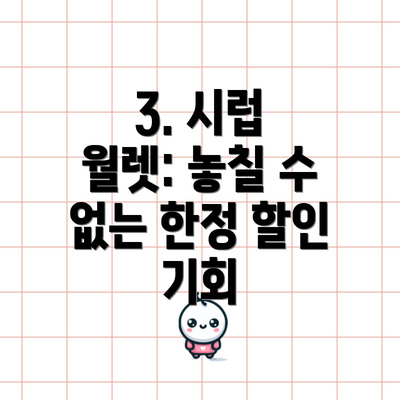3. 시럽 월렛: 놓칠 수 없는 한정 할인 기회