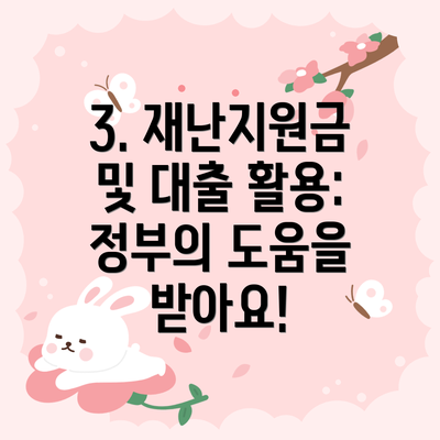 3. 재난지원금 및 대출 활용: 정부의 도움을 받아요!