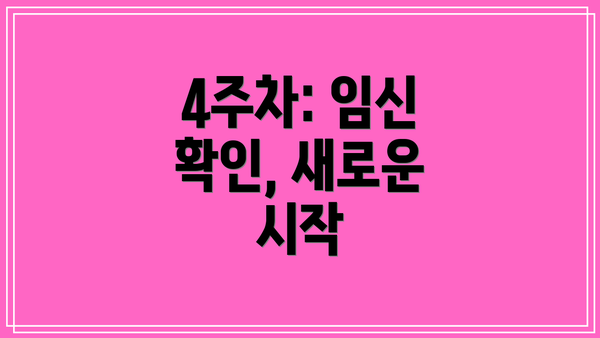 4주차: 임신 확인, 새로운 시작