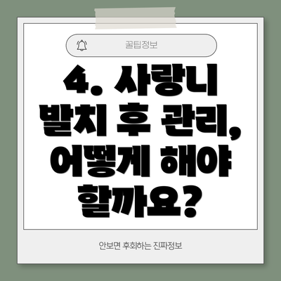 4. 사랑니 발치 후 관리, 어떻게 해야 할까요?