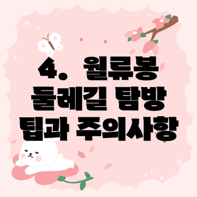 4.  월류봉 둘레길 탐방 팁과 주의사항