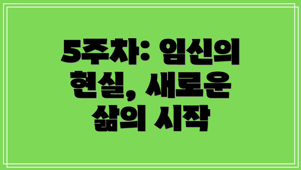 5주차: 임신의 현실, 새로운 삶의 시작