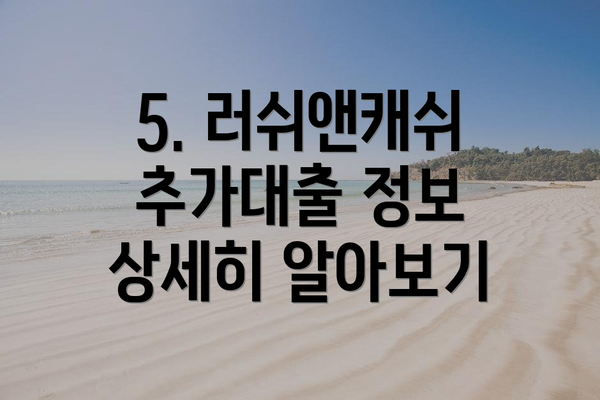 5. 러쉬앤캐쉬 추가대출 정보 상세히 알아보기